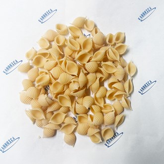 (CURRENTLY UNAVAILABLE) Fabbrica Fresh Egg Conchiglie - FS