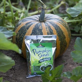 Raw Natural Pumpkin Seeds - 5kg